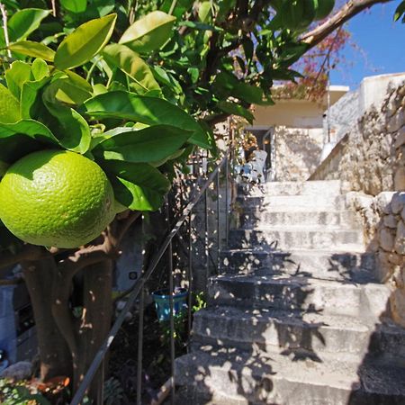 Villa Igrane Luaran gambar