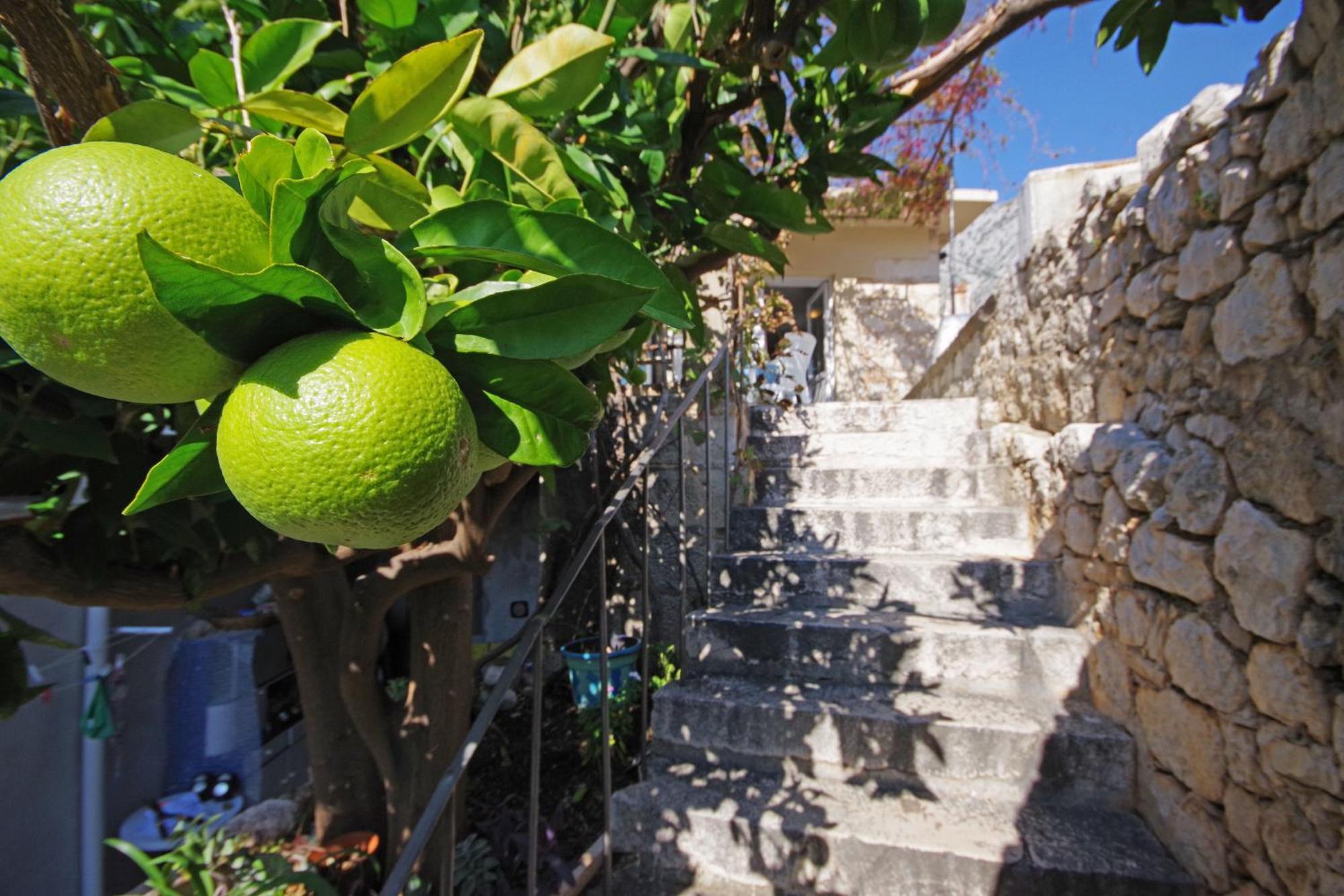 Villa Igrane Luaran gambar